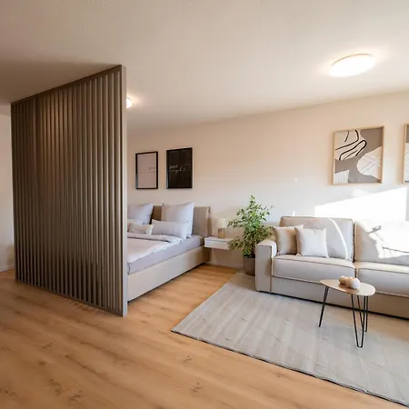 Near Basel - Buisness&holiday رينفيلدن