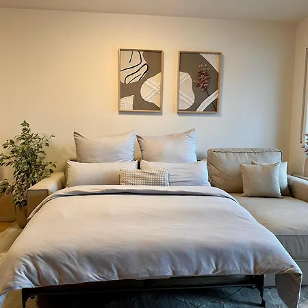 Near Basel - Buisness&holiday رينفيلدن