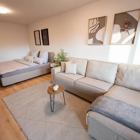 Near Basel - Buisness&holiday شقة *