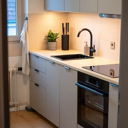 شقة Near Basel - Buisness&holiday رينفيلدن